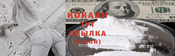 сатива Нефтекумск