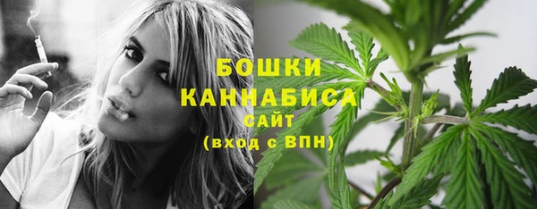 сатива Нефтекумск